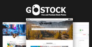 Gostock free stock photos script